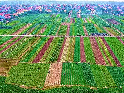 nganh cong thuong dong hanh cung chuong trinh xay dung nong thon moi