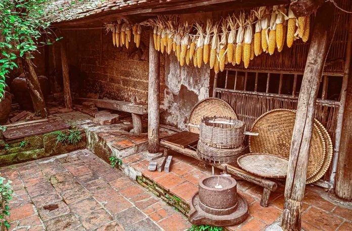 Bảo tồn nhà cổ Đường Lâm Bảo tồn nhà cổ Đường Lâm