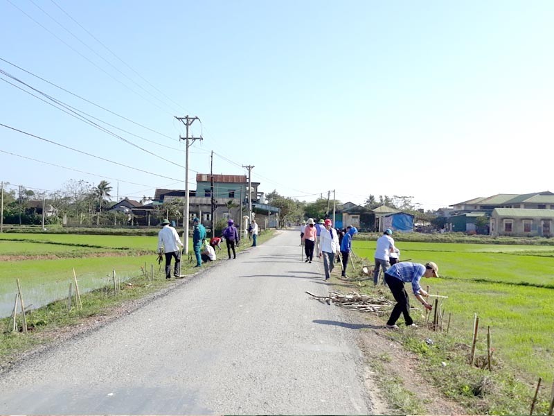 Người dân xã Triệu Đại huyện Triệu Phong trồng cây bóng mát và hoa ở các trục đường Người dân xã Triệu Đại huyện Triệu Phong trồng cây bóng mát và hoa ở các trục đường