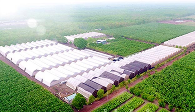 Bình Dương đề ra mục tiêu đến năm 2025, tỷ trọng giá trị sản xuất NNCNC chiếm trên 30%