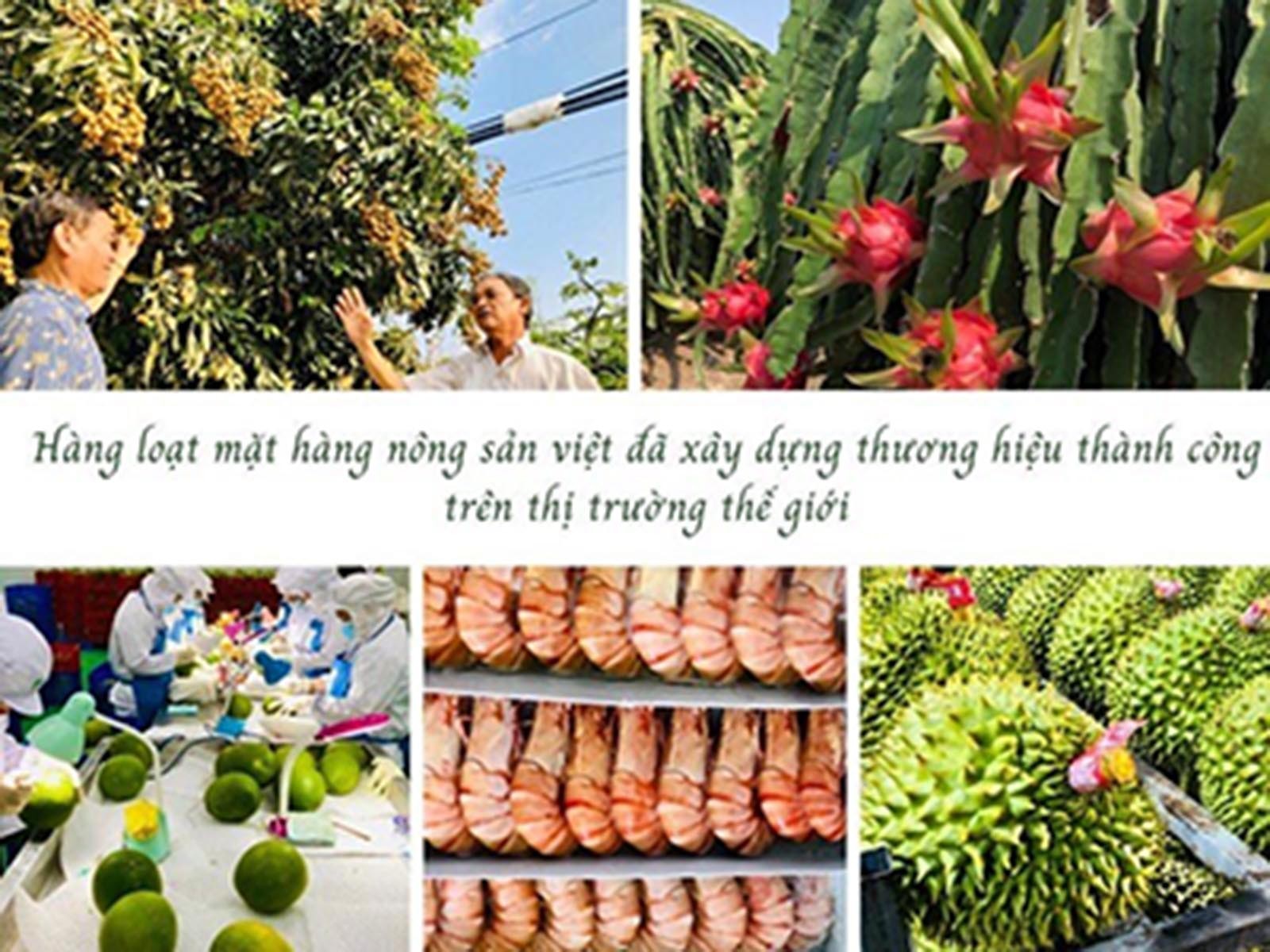 Các làng nghề, doanh nghiệp, người dân: Ứng dụng khoa học công nghệ - Sản phẩm nông nghiệp sẽ đột phá, lan toả đến bạn bè thế giới Các làng nghề, doanh nghiệp, người dân: Ứng dụng khoa học công nghệ - Sản phẩm nông nghiệp sẽ đột phá, lan toả đến bạn bè thế giới