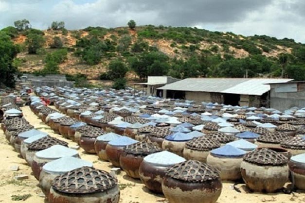 Nước mắm sẽ được ủ chượp trong lu theo phương pháp truyền thống sẽ ngon hơnphương pháp truyền thống sẽ ngon hơ Nước mắm sẽ được ủ chượp trong lu theo phương pháp truyền thống sẽ ngon hơnphương pháp truyền thống sẽ ngon hơ