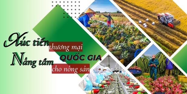 Bình chọn sản phẩm công nghiệp nông thôn tiêu biểu nội dung quan trọng của hoạt động khuyến công