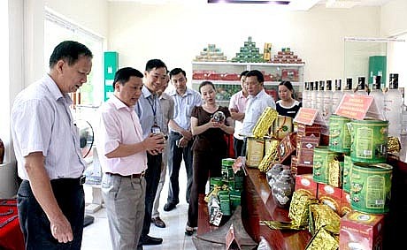 Bình chọn sản phẩm công nghiệp nông thôn tiêu biểu nội dung quan trọng của hoạt động khuyến công