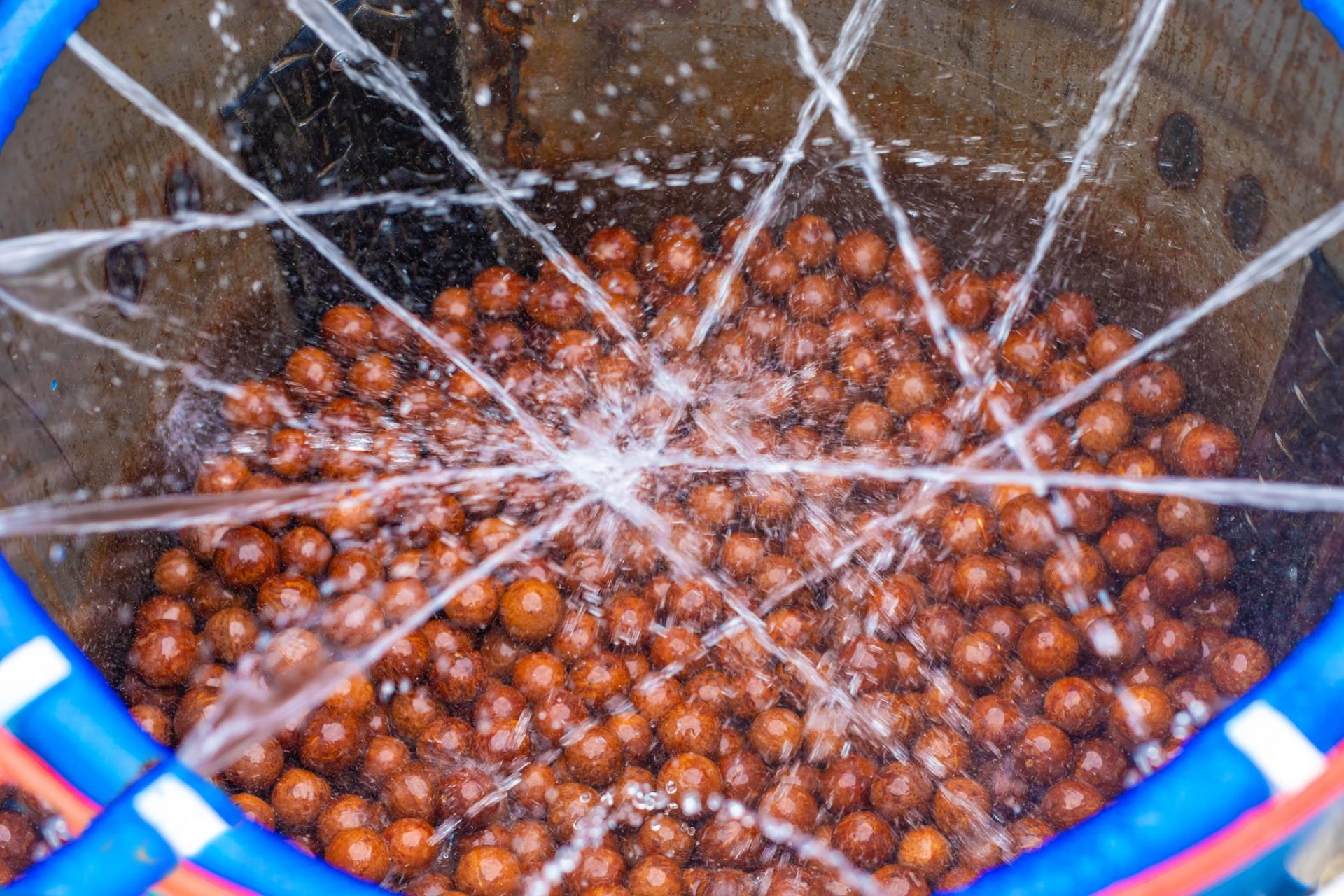 Mỗi trái mắc ca đều được HAMC làm sạch, lựa chọn nghiêm ngặt, loại bỏ các hạt không đạt tiêu chuẩn nhằm tạo ra sản phẩm đạt chất lượng cao