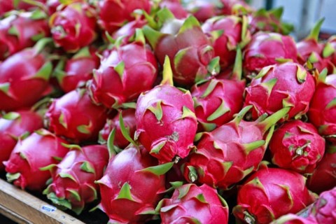 Bình Thuận: Đa dạng sản phẩm chế biến từ thanh long - “gỡ khó” chuyện đầu ra cho nông dân