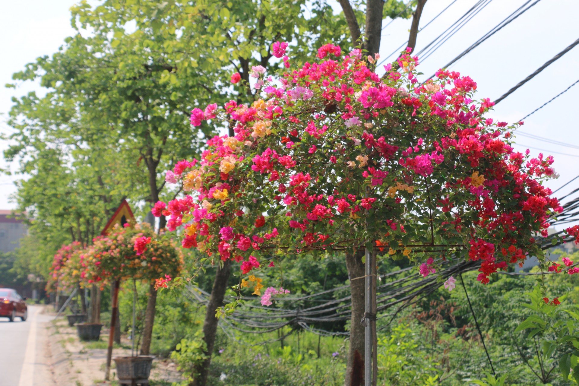 Yên Mỹ đề cao tiêu chí môi trường trong xây dựng nông thôn mới