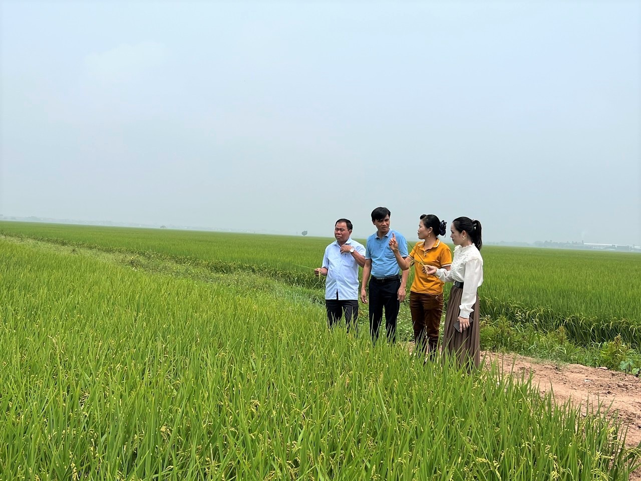 Hợp tác xã thúc đẩy phát triển những mô hình kinh tế nổi bật tại Yên Lập