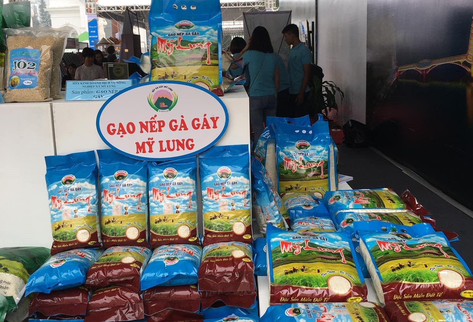 Hợp tác xã thúc đẩy phát triển những mô hình kinh tế nổi bật tại Yên Lập