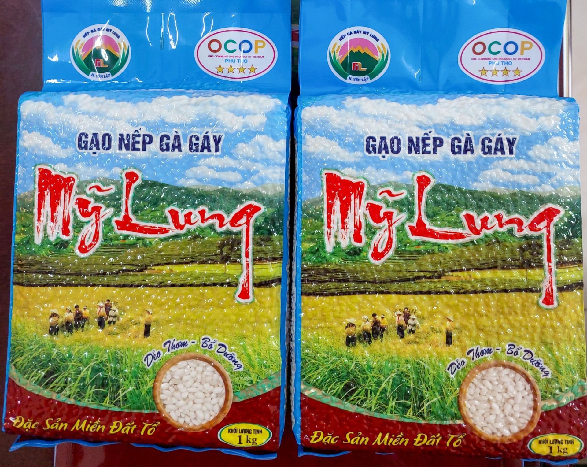 Hợp tác xã thúc đẩy phát triển những mô hình kinh tế nổi bật tại Yên Lập