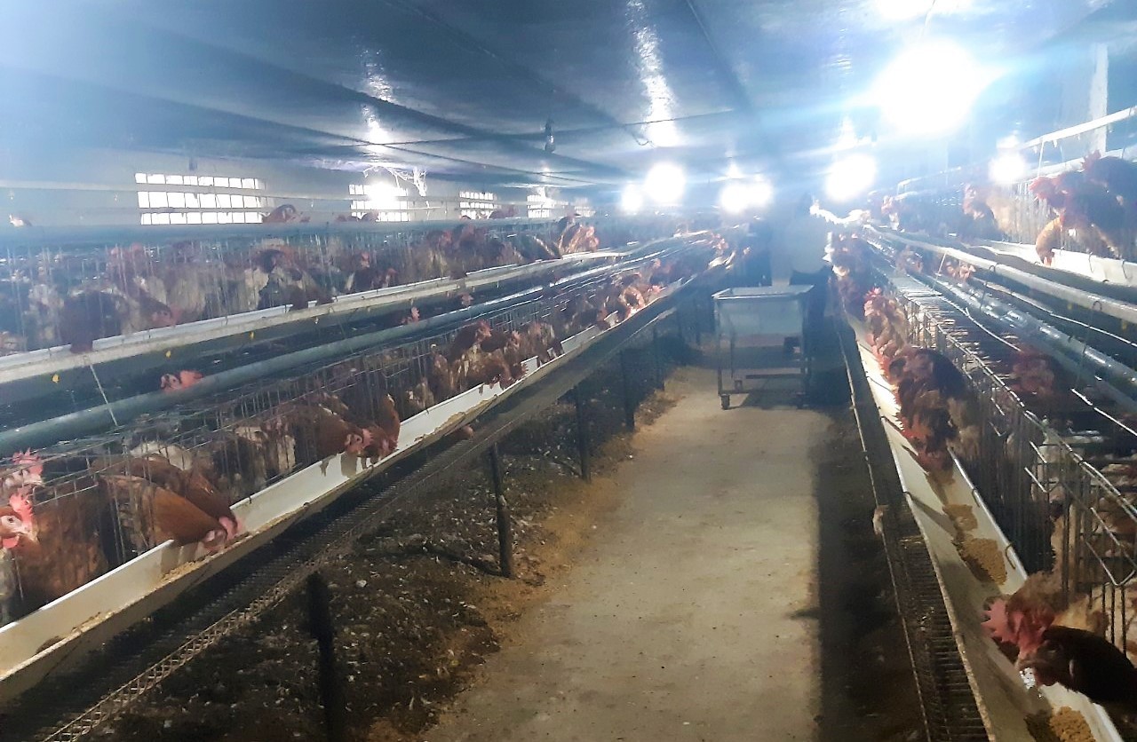 Hợp tác xã thúc đẩy phát triển những mô hình kinh tế nổi bật tại Yên Lập