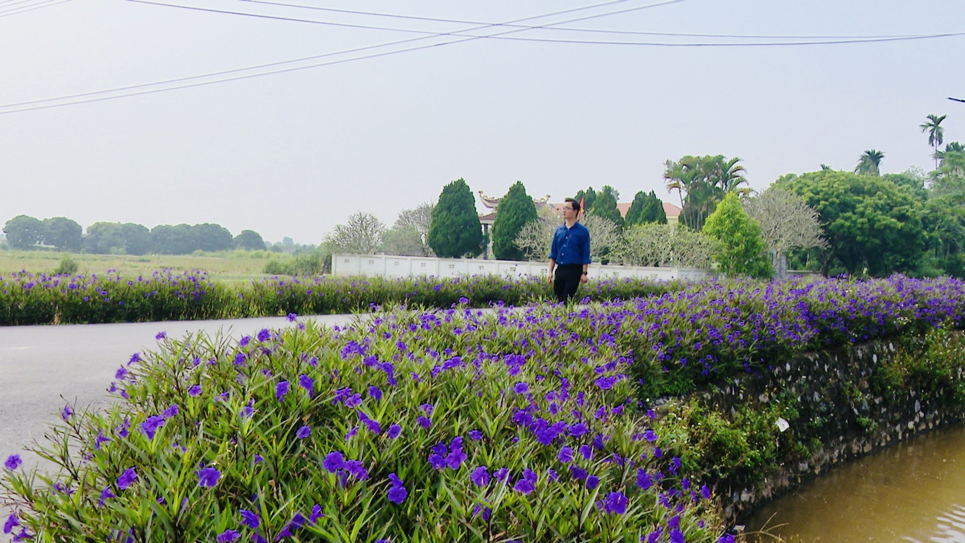 Huyện Ứng Hoà (Hà Nội): Nỗ lực, phấn đấu xây dựng huyện Nông thôn mới Huyện Ứng Hoà (Hà Nội): Nỗ lực, phấn đấu xây dựng huyện Nông thôn mới