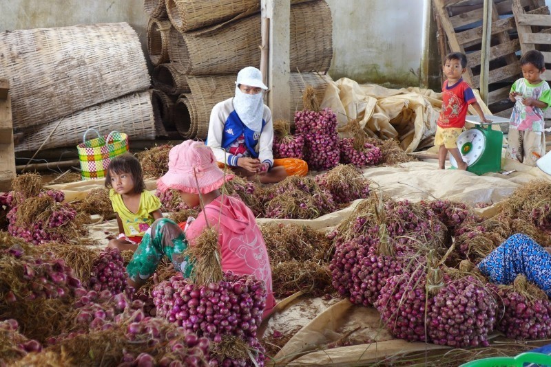 Dương Xá quyết tâm xây dựng “Thôn thông minh” đầu tiên của huyện Gia Lâm Dương Xá quyết tâm xây dựng “Thôn thông minh” đầu tiên của huyện Gia Lâm