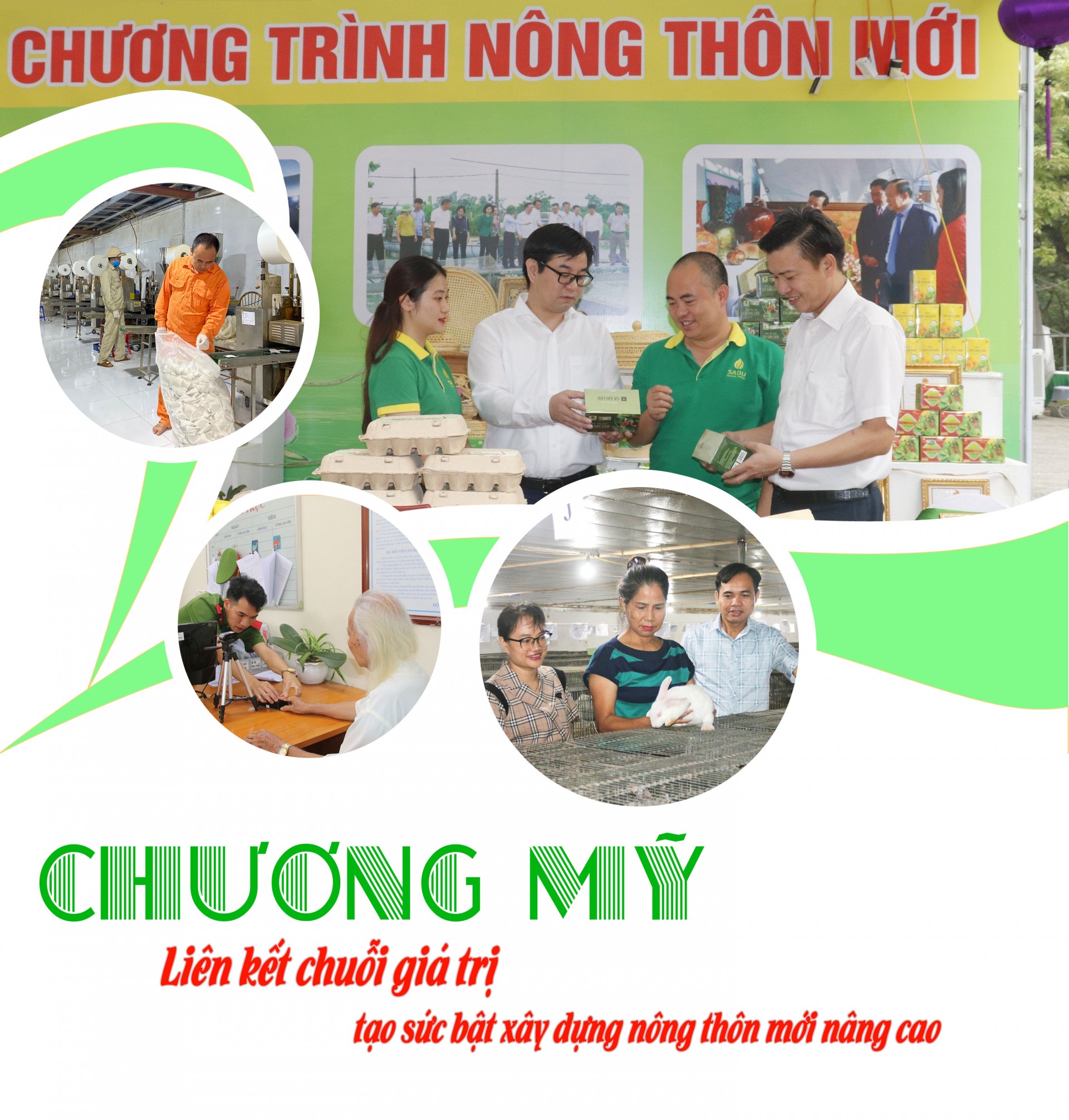 Chương Mỹ: Liên kết trong sản xuất nông nghiệp tạo sức bật xây dựng nông thôn mới nâng cao