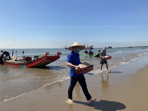 Nâng tầm sản phẩm Làng nghề nước mắm Khúc Phụ