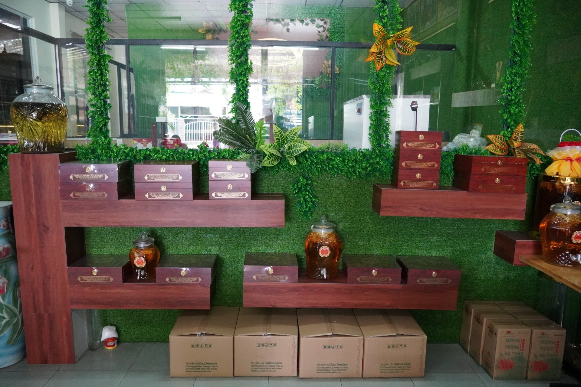 Lâm Đồng: Nỗ lực đưa sản phẩm dược liệu đến gần hơn với người tiêu dùng