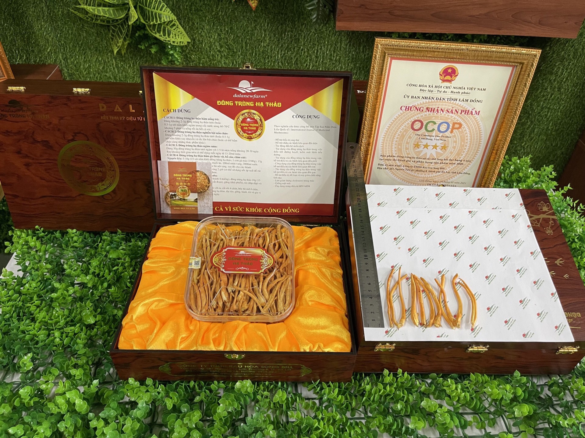 Lâm Đồng: Nỗ lực đưa sản phẩm dược liệu đến gần hơn với người tiêu dùng