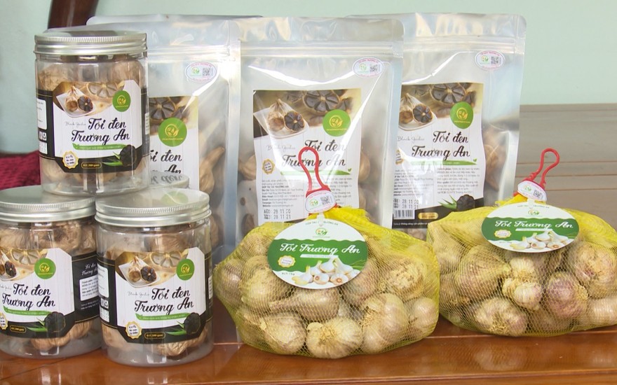 Sản phẩm OCOP 4 sao tỏi đen Trường An Sản phẩm OCOP 4 sao tỏi đen Trường An