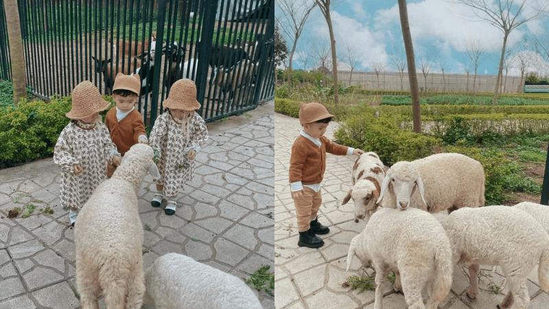 Huyện Gia Lâm có điểm du lịch đạt chứng nhận OCOP 4 sao Huyện Gia Lâm có điểm du lịch đạt chứng nhận OCOP 4 sao