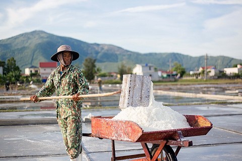 Nhọc nhằn nghề làm muối dưới trời nắng gắt của diêm dân Quảng Bình