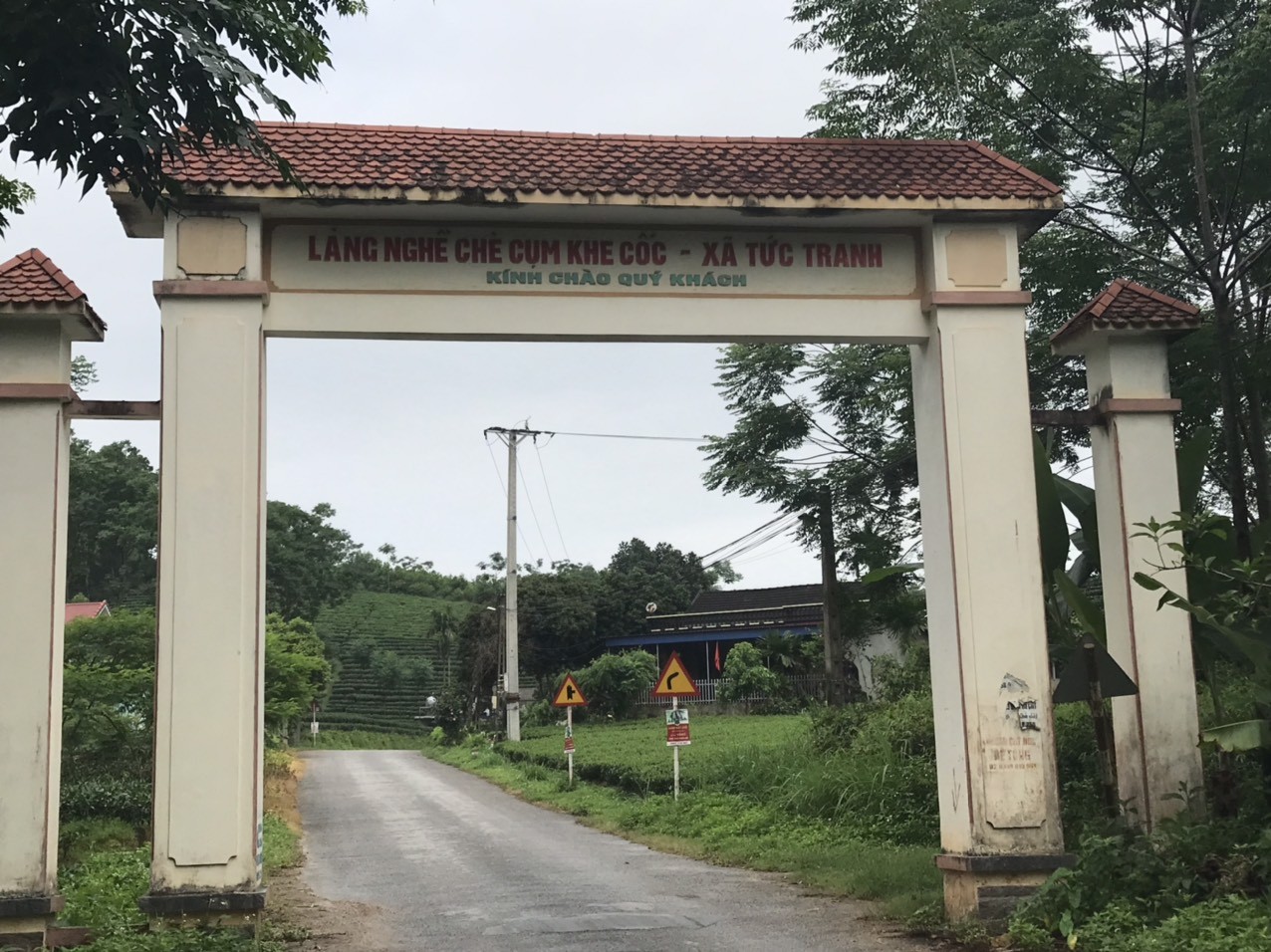 HTX chè An Toàn Khe Cốc ưu tiên sản xuất chè hữu cơ HTX chè An Toàn Khe Cốc ưu tiên sản xuất chè hữu cơ