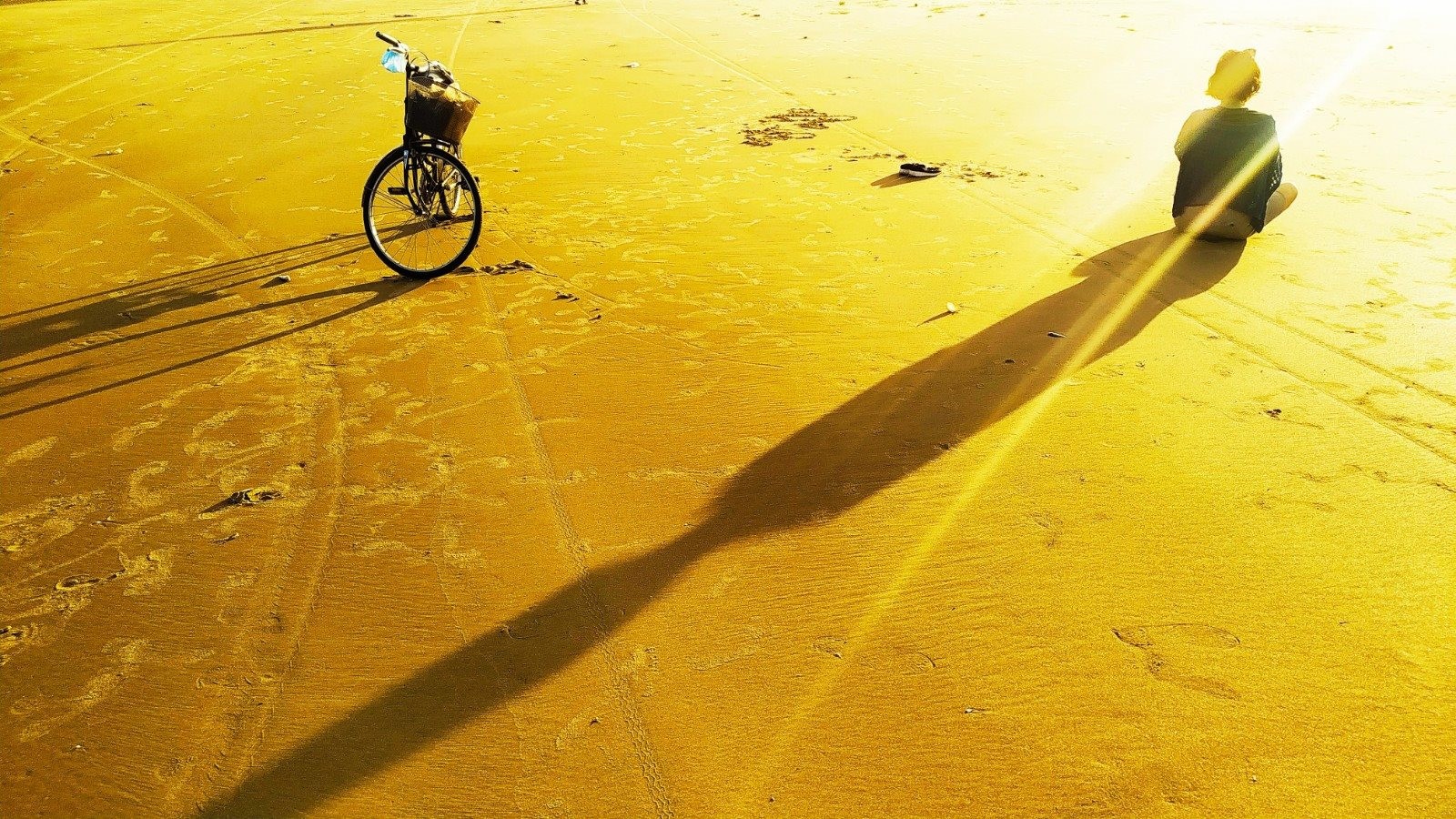 Nắng sớm dát vàng trên bãi biển vắng.