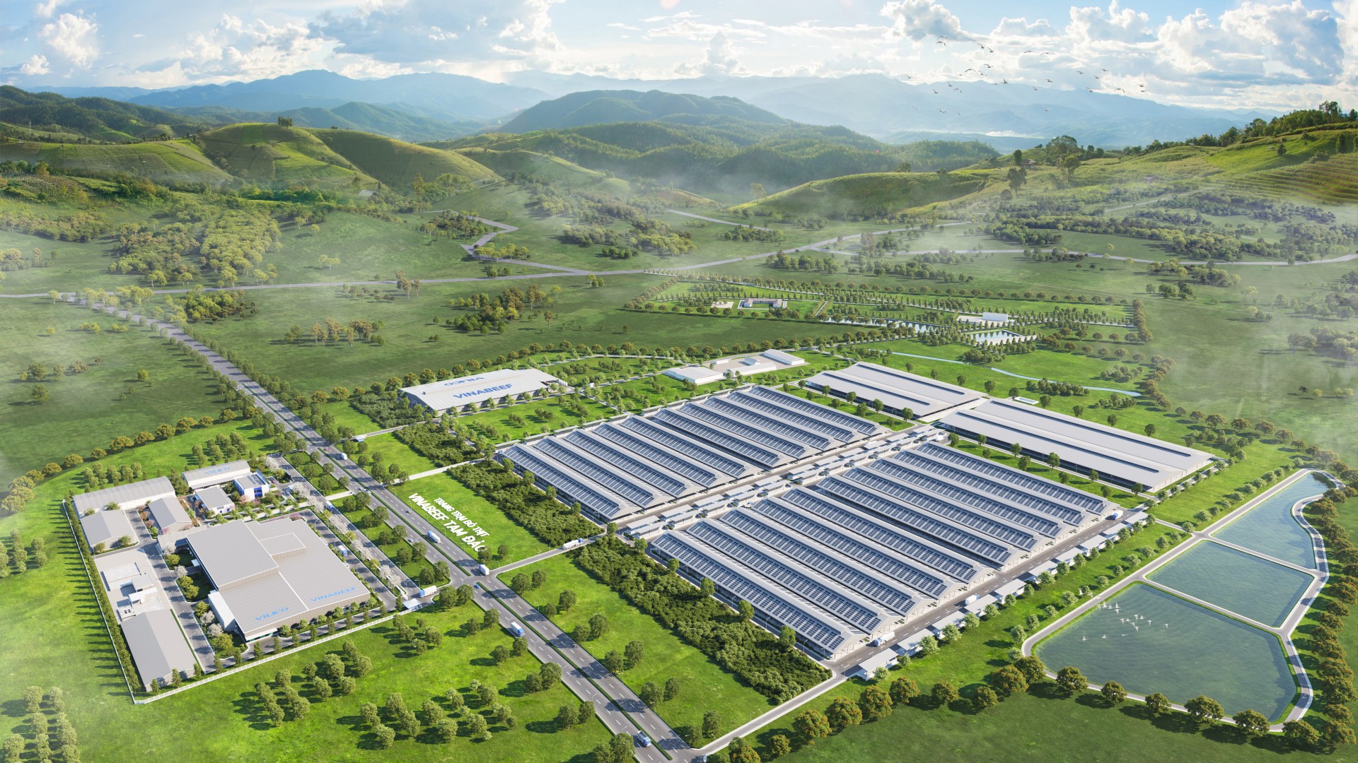 PHÂN TÍCH CHẤT LƯỢNG HƠN 8.000 TỶ ĐỒNG LỢI NHUẬN CỦA VINAMILK