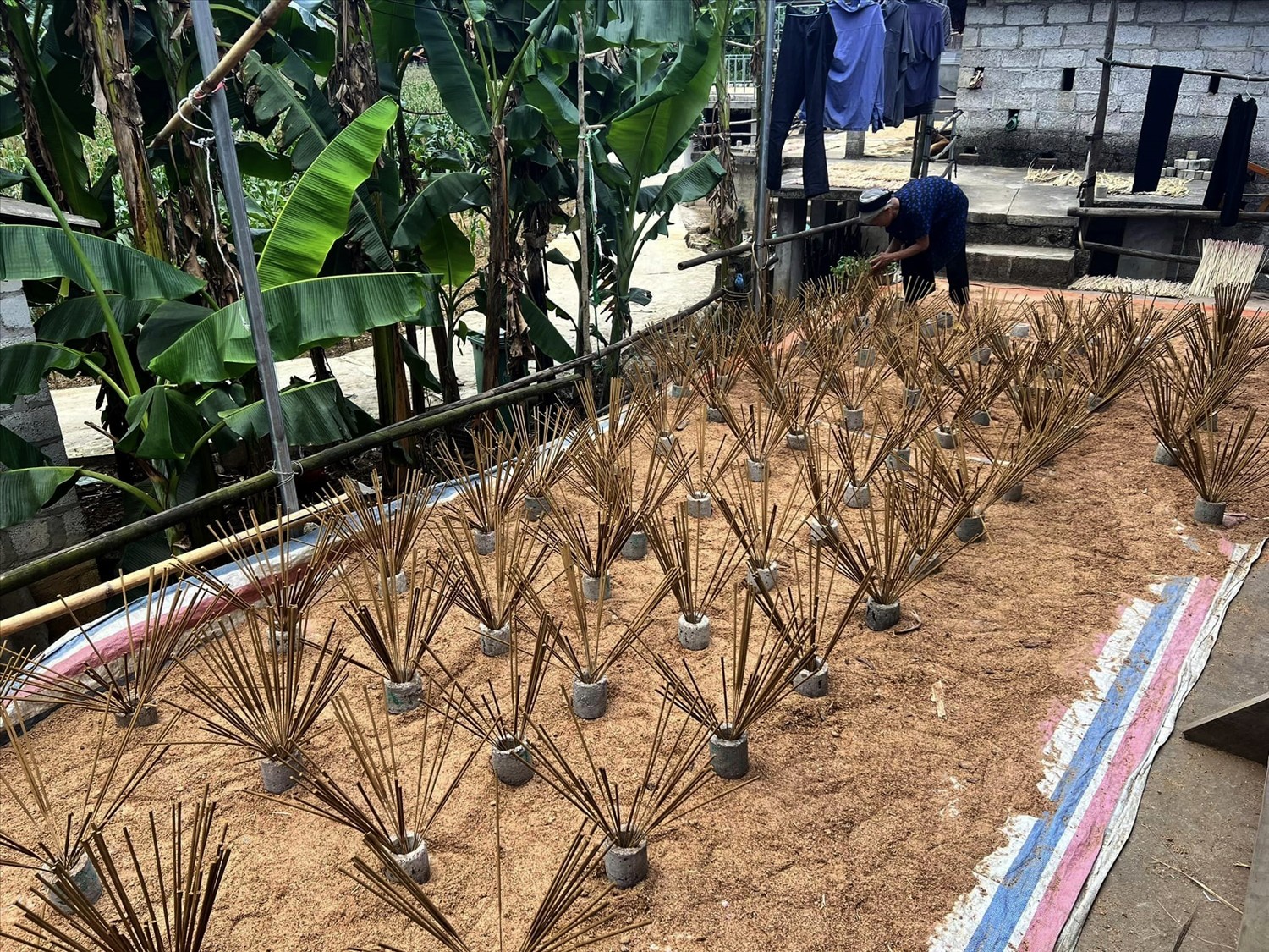 Hương truyền thống được sản xuất ở Phia Thắp không chứa các hóa chất độc hại, bảo đảm an toàn cho sức khỏe nên được đông đảo bà con cũng như khách du lịch yêu thích. (Ảnh TL) Hương truyền thống được sản xuất ở Phia Thắp không chứa các hóa chất độc hại, bảo đảm an toàn cho sức khỏe nên được đông đảo bà con cũng như khách du lịch yêu thích. (Ảnh TL)