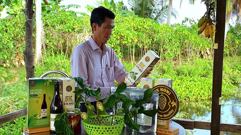 Anh Khưu Văn Chương và gia đình đầu tư công nghệ, sản xuất ra nhiều sản phẩm nước uống từ trái nhàu. Anh Khưu Văn Chương và gia đình đầu tư công nghệ, sản xuất ra nhiều sản phẩm nước uống từ trái nhàu.