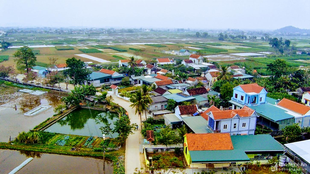 Cả nước có 73,65% số xã đạt chuẩn nông thôn mới Cả nước có 73,65% số xã đạt chuẩn nông thôn mới