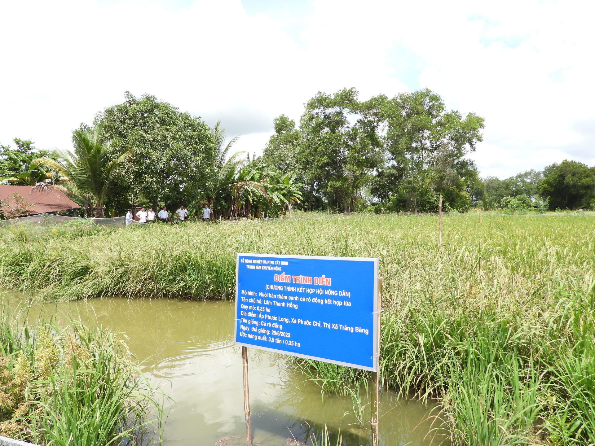 Tây Ninh: Phát triển mô hình nhỏ nhưng đem lại lợi ích lớn