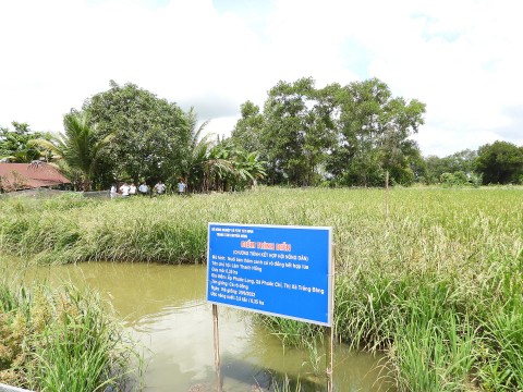 Tây Ninh: Phát triển mô hình nhỏ nhưng đem lại lợi ích lớn