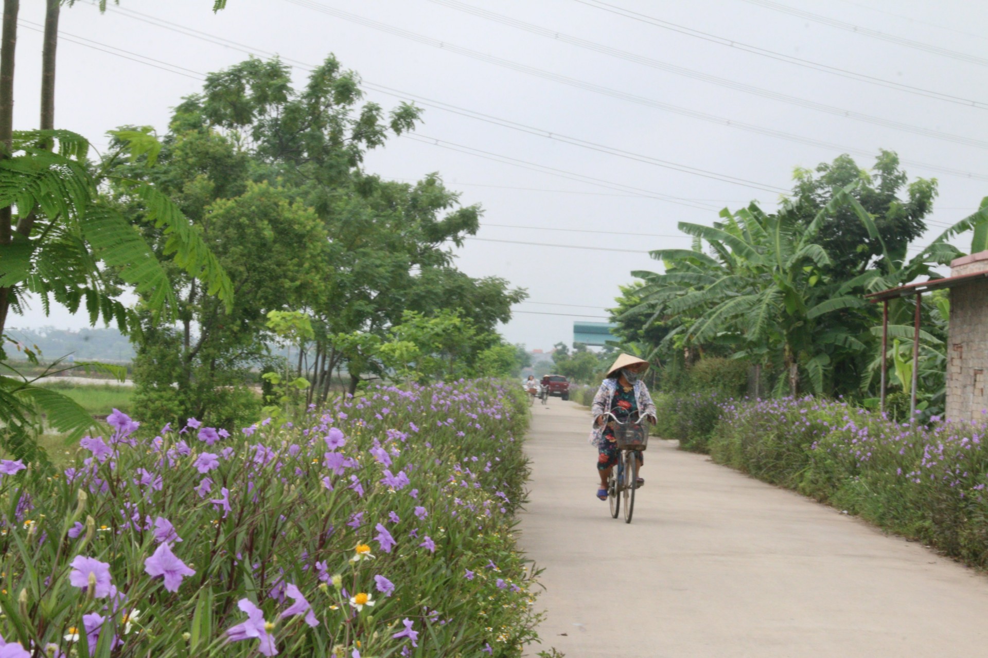 100% trục chính, đường liên xã, liên thôn tại Lam Điền được cứng hóa, bê tông và có đoạn được rải nhựa asphan