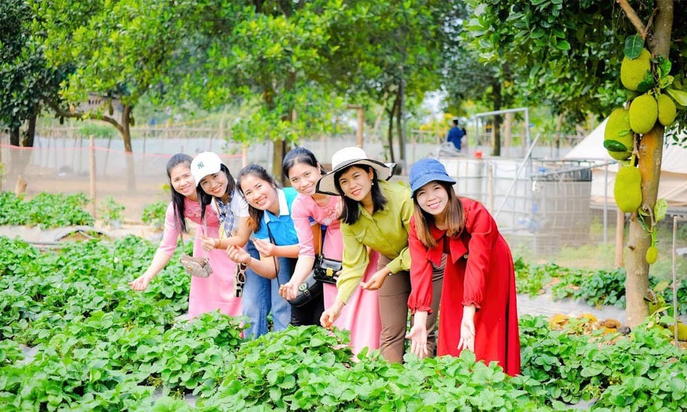 Đan Phượng khởi sắc du lịch nông thôn Đan Phượng khởi sắc du lịch nông thôn