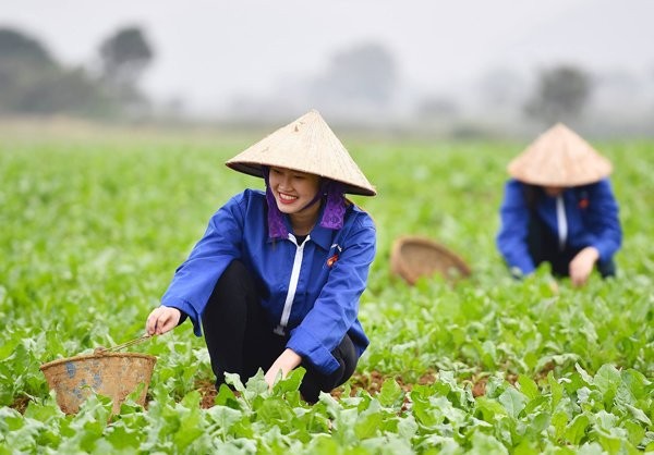 Hợp tác đào tạo và phát triển nguồn nhân lực nông nghiệp, nông thôn