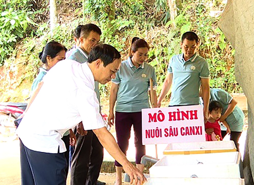 Hội Nông dân huyện kiểm tra, hướng dẫn hội viên xây dựng mô hình nuôi sâu canxi, góp phần thực hiện tốt công tác bảo vệ môi trường. Hội Nông dân huyện kiểm tra, hướng dẫn hội viên xây dựng mô hình nuôi sâu canxi, góp phần thực hiện tốt công tác bảo vệ môi trường.