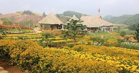 Thanh Hoá: Phát huy tiềm năng du lịch nông thôn