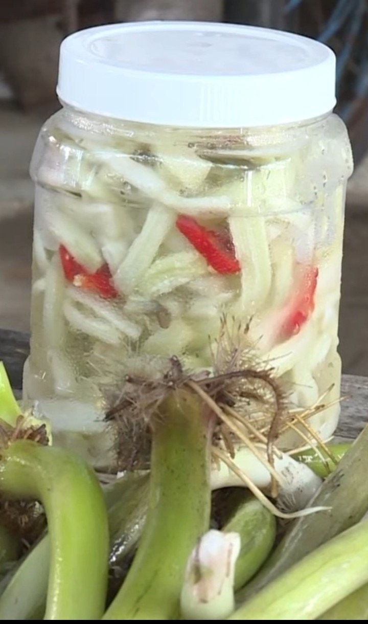 Dưa ngó lục bình Miền Tây Dưa ngó lục bình Miền Tây