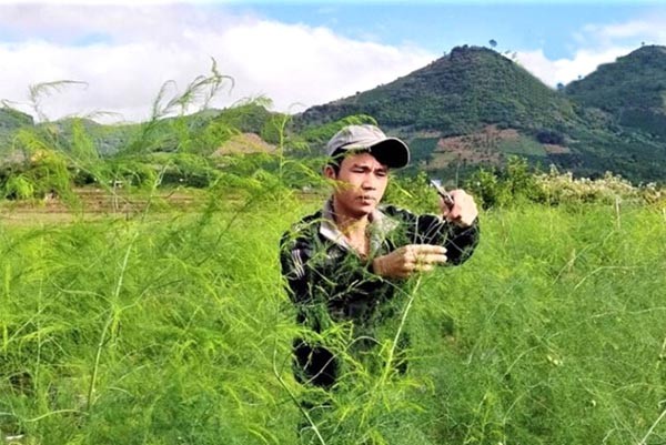 Hướng đi mới cho nông dân ở Đắk Nông Hướng đi mới cho nông dân ở Đắk Nông