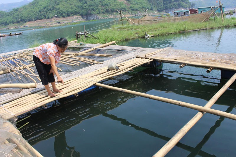 Hòa Bình: Tiền Phong vượt khó xây dựng nông thôn mới Hòa Bình: Tiền Phong vượt khó xây dựng nông thôn mới