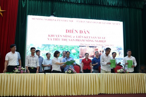 Phú Xuyên: Đẩy mạnh các mô hình liên kết  sản xuất và tiêu thụ sản phẩm nông nghiệp