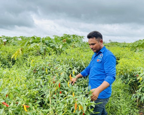 Thanh niên tìm hướng phát triển kinh tế ngay tại quê hương