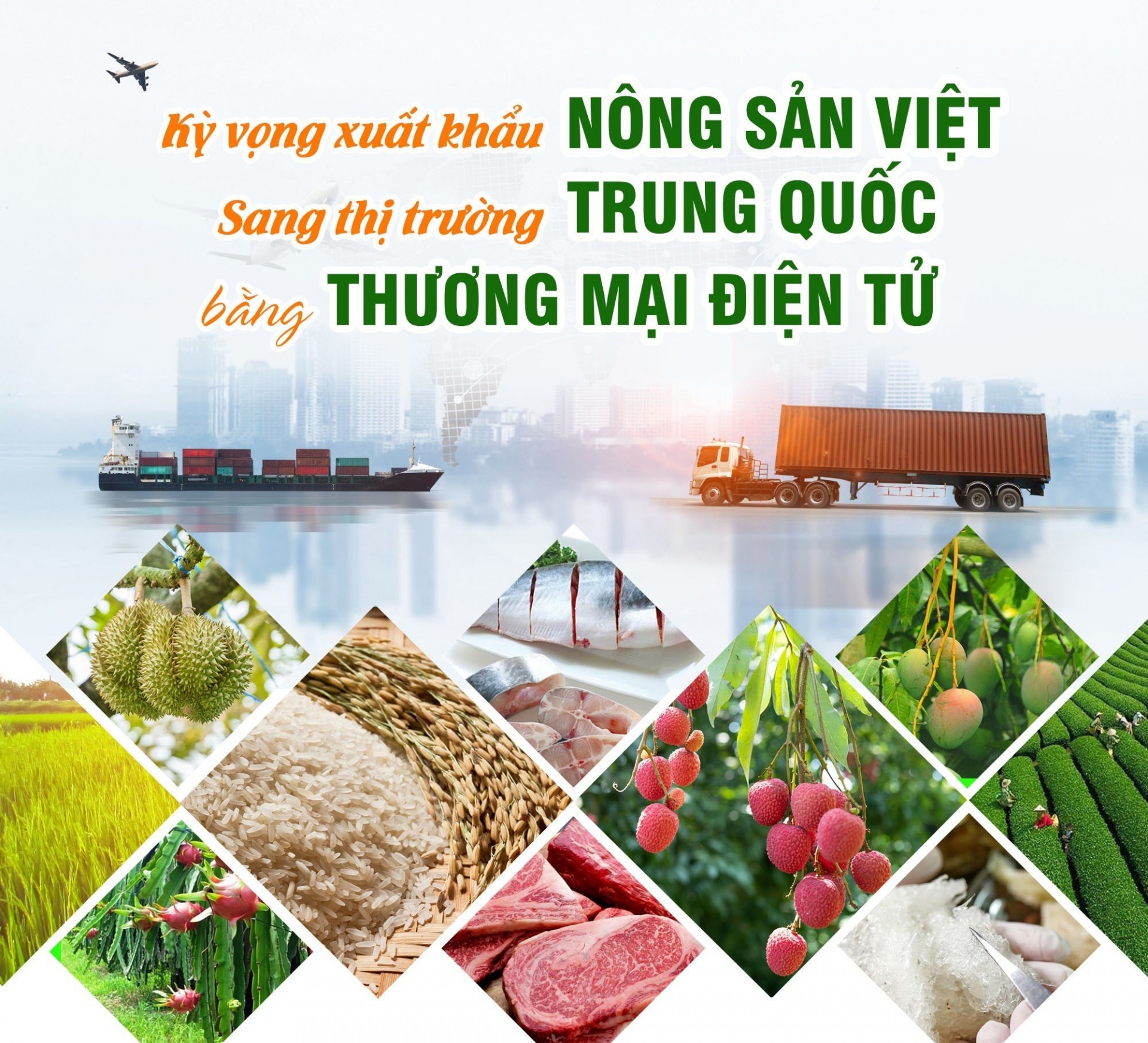 Kỳ vọng xuất khẩu nông sản Việt sang thị trường Trung Quốc bằng thương mại điện tử.