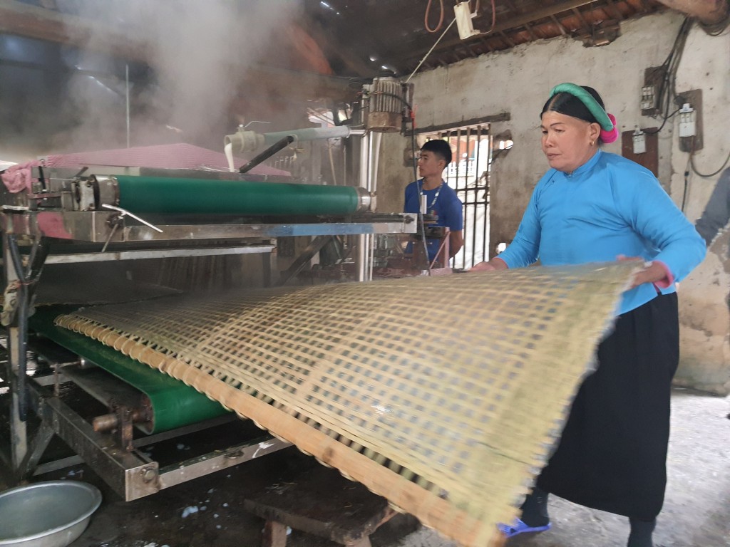 Sản xuất miến dong tại HTX Phát triển Đình Trung (xã Húc Động, huyện Bình Liêu).