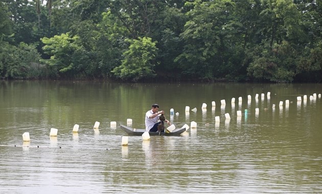 Vĩnh Phúc: Xây dựng các mô hình khuyến nông theo chuỗi giá trị Vĩnh Phúc: Xây dựng các mô hình khuyến nông theo chuỗi giá trị