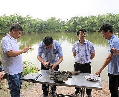 Vĩnh Phúc: Xây dựng các mô hình khuyến nông theo chuỗi giá trị