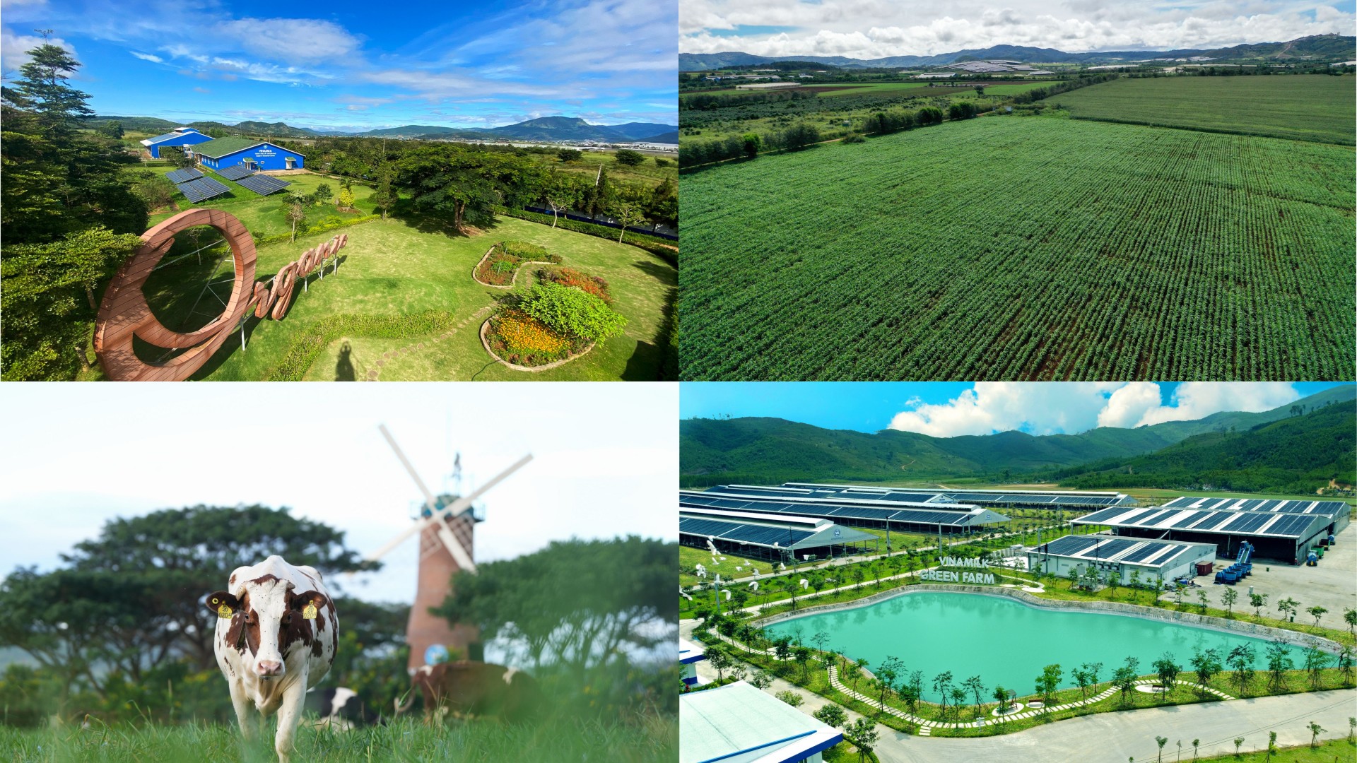 ĐỂ CÓ CÁC MÔ HÌNH “TRANG TRẠI SINH THÁI”, “TRUNG HÒA CARBON”, VINAMILK ĐÃ CHUẨN BỊ NHƯ THẾ NÀO? ĐỂ CÓ CÁC MÔ HÌNH “TRANG TRẠI SINH THÁI”, “TRUNG HÒA CARBON”, VINAMILK ĐÃ CHUẨN BỊ NHƯ THẾ NÀO?