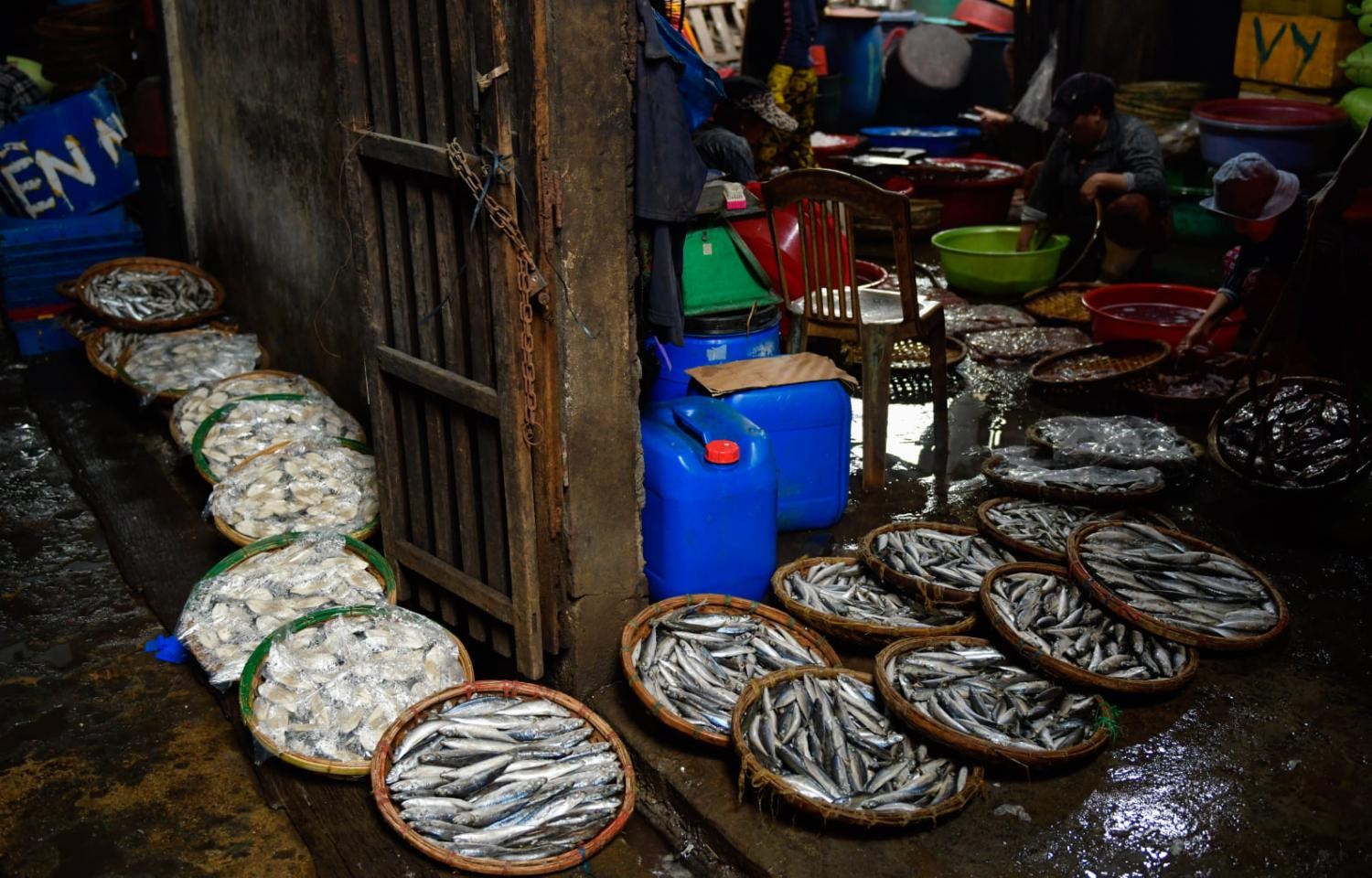 Khi cá được đem về, những nhân công ở đây sẽ phải làm sạch cá qua những công đoạn như: đánh vảy, mổ ruột, cắt lát và sau đó xếp vào ngăn nắp trên các rổ tre để chờ cho vào lò hấp.