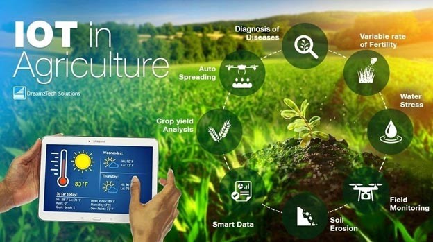 Ứng dụng chuyển đổi số vào thị trường nông sản giúp nâng cao giá trị gia tăng, phát triển bền vững cho nông sản nước ta Ứng dụng chuyển đổi số vào thị trường nông sản giúp nâng cao giá trị gia tăng, phát triển bền vững cho nông sản nước ta