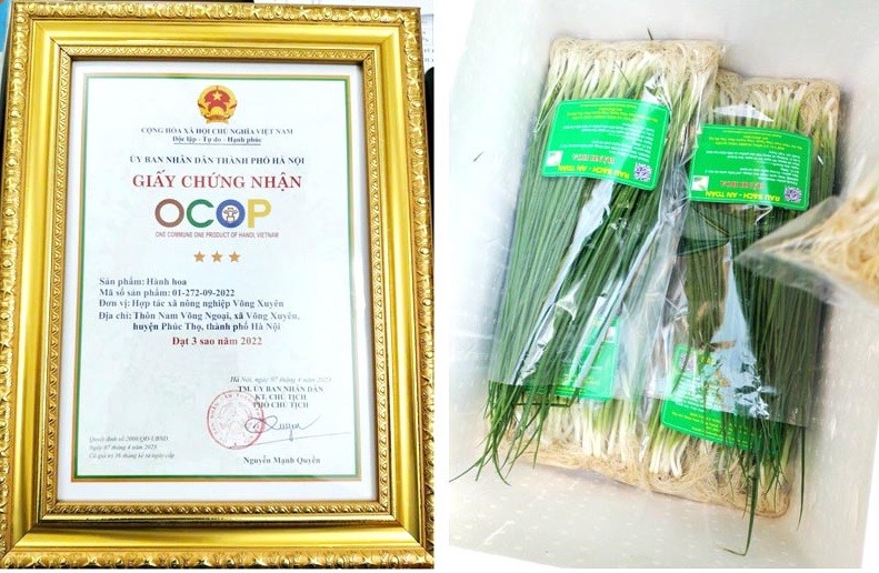 ản phẩm hành hoa được UBND TP Hà Nội cấp chứng nhận OCOP 3 sao năm 2022 ản phẩm hành hoa được UBND TP Hà Nội cấp chứng nhận OCOP 3 sao năm 2022